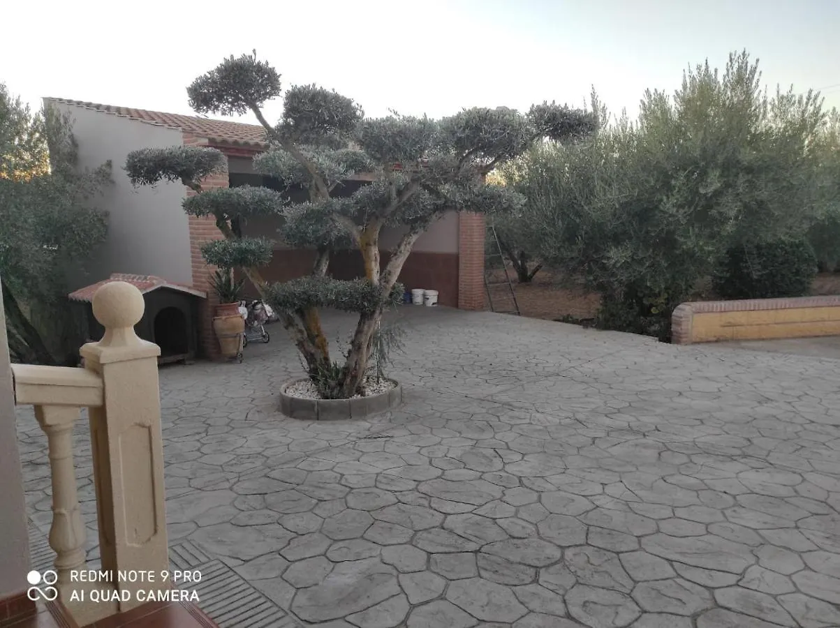Сasa de vacaciones Los Abuelos Setenil De Las Bodegas España