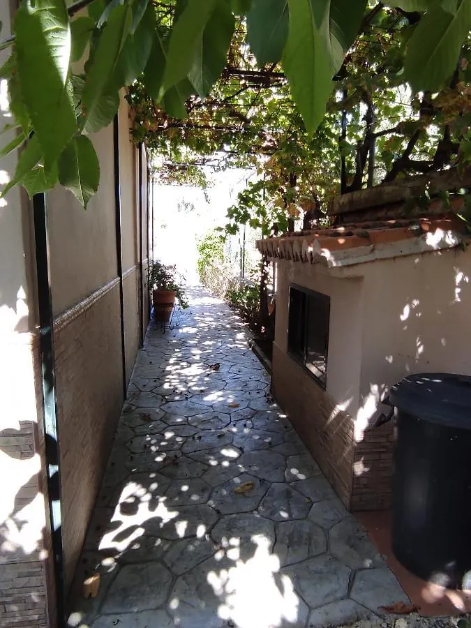Los Abuelos Setenil De Las Bodegas