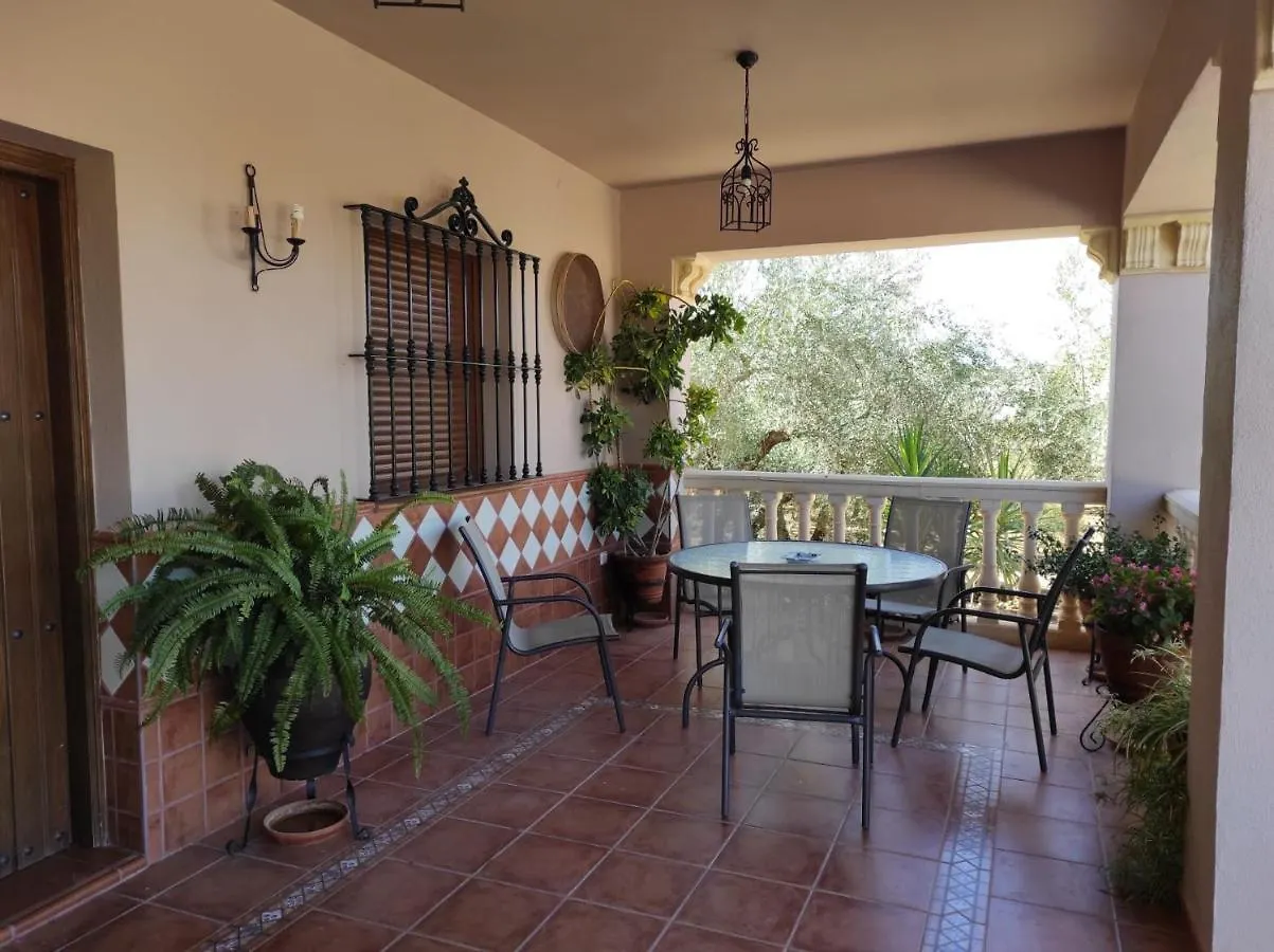 Los Abuelos Setenil De Las Bodegas