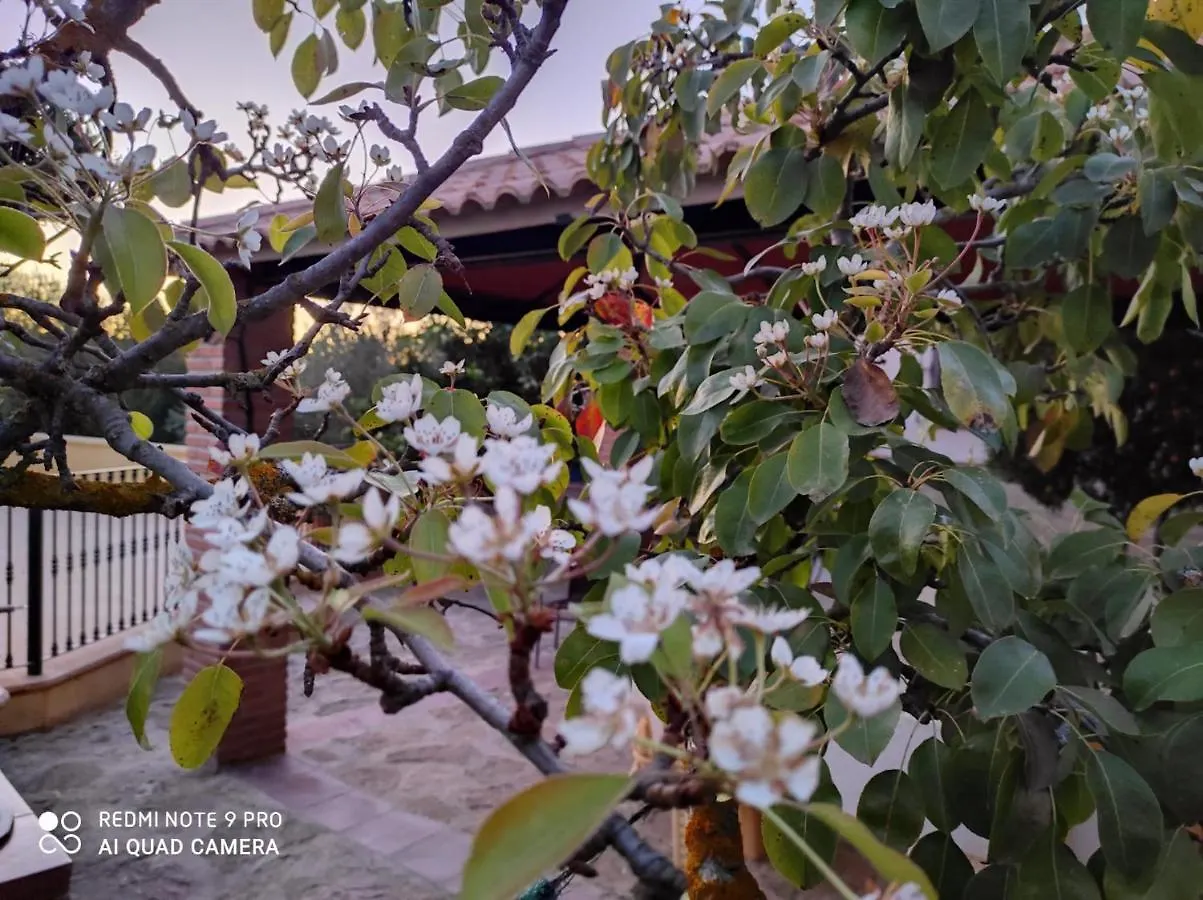 Los Abuelos Setenil De Las Bodegas España