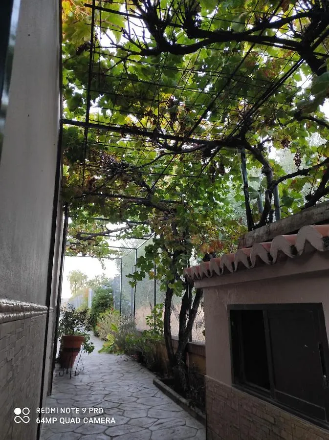Los Abuelos Setenil De Las Bodegas Сasa de vacaciones